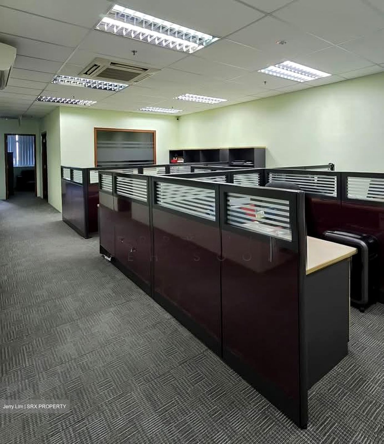 Vertex (D14), Factory #564729011